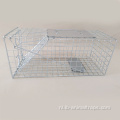 Humane knaagdier kooi opvouwbare humane vogelval kooi